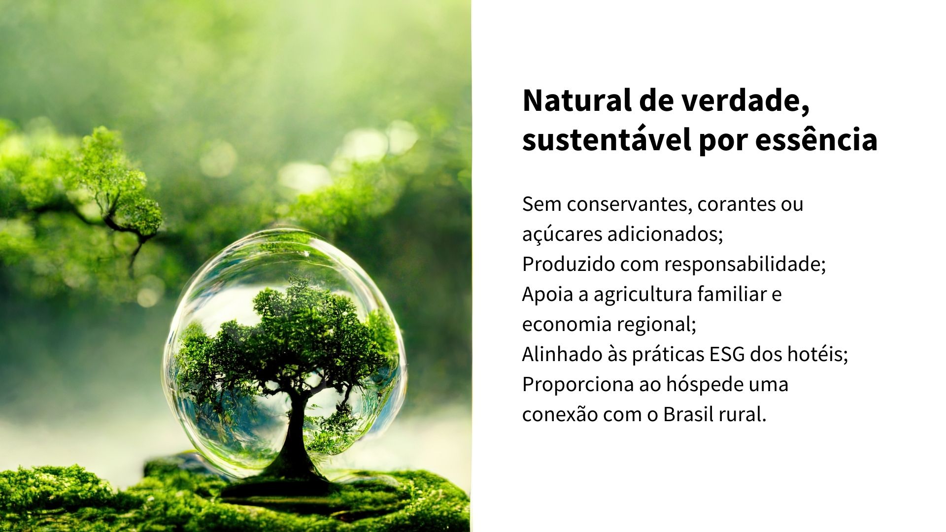 vale-verde-hotelaria-turismo-hospedes-esg-governanca-sustentabilidade.jpg